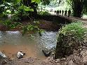 15 On foot atrol with the eco guards of the Luki reserve